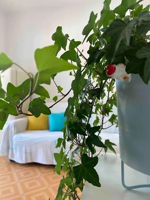 Appartamento In Pieno Centro - 500 Metri Dal Mare. Viareggio Apartment